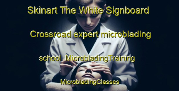 Skinart The White Signboard Crossroad expert microblading school | #MicrobladingTraining #MicrobladingClasses #SkinartTraining-United States