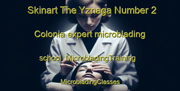 Skinart The Yznaga Number 2 Colonia expert microblading school | #MicrobladingTraining #MicrobladingClasses #SkinartTraining-United States