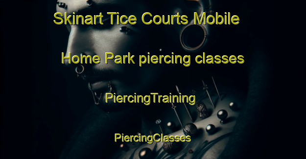 Skinart Tice Courts Mobile Home Park piercing classes | #PiercingTraining #PiercingClasses #SkinartTraining-United States