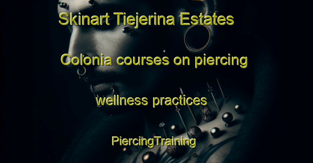 Skinart Tiejerina Estates Colonia courses on piercing wellness practices | #PiercingTraining #PiercingClasses #SkinartTraining-United States