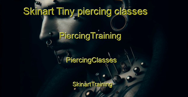 Skinart Tiny piercing classes | PiercingTraining | PiercingClasses | SkinartTraining-United States
