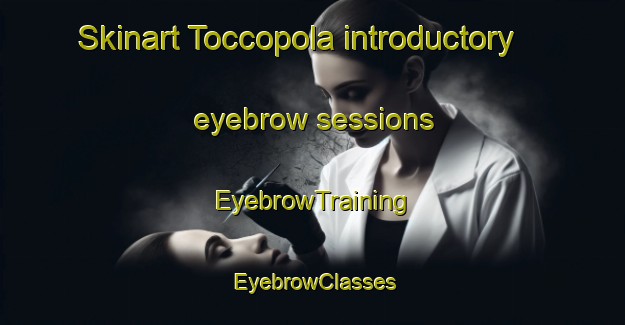 Skinart Toccopola introductory eyebrow sessions | EyebrowTraining | EyebrowClasses | SkinartTraining-United States