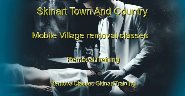 Skinart Town And Country Mobile Village removal classes | #RemovalTraining #RemovalClasses #SkinartTraining-United States