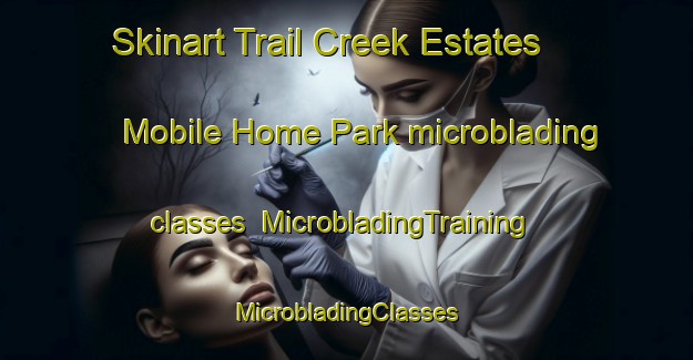 Skinart Trail Creek Estates Mobile Home Park microblading classes | #MicrobladingTraining #MicrobladingClasses #SkinartTraining-United States