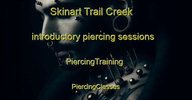 Skinart Trail Creek introductory piercing sessions | #PiercingTraining #PiercingClasses #SkinartTraining-United States