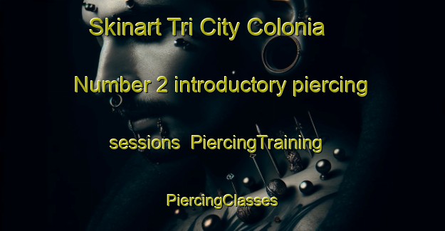 Skinart Tri City Colonia Number 2 introductory piercing sessions | #PiercingTraining #PiercingClasses #SkinartTraining-United States