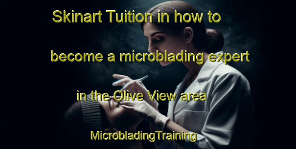 Skinart Tuition in how to become a microblading expert in the Olive View area | MicrobladingTraining | MicrobladingClasses | SkinartTraining-United States
