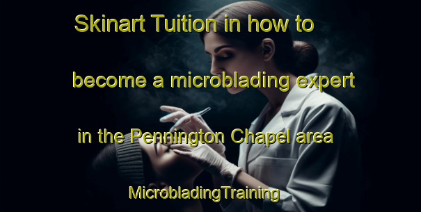 Skinart Tuition in how to become a microblading expert in the Pennington Chapel area | MicrobladingTraining | MicrobladingClasses | SkinartTraining-United States
