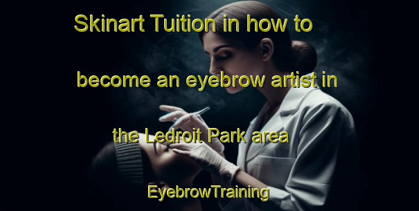 Skinart Tuition in how to become an eyebrow artist in the Ledroit Park area | EyebrowTraining | EyebrowClasses | SkinartTraining-United States