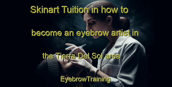Skinart Tuition in how to become an eyebrow artist in the Tierra Del Sol area | EyebrowTraining | EyebrowClasses | SkinartTraining-United States