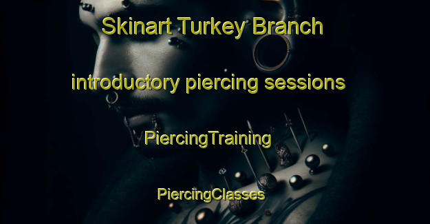 Skinart Turkey Branch introductory piercing sessions | PiercingTraining | PiercingClasses | SkinartTraining-United States