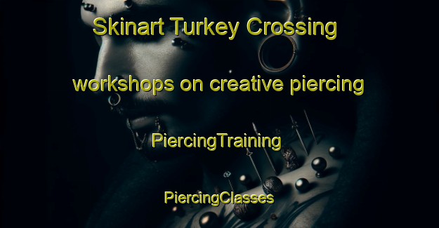 Skinart Turkey Crossing workshops on creative piercing | #PiercingTraining #PiercingClasses #SkinartTraining-United States