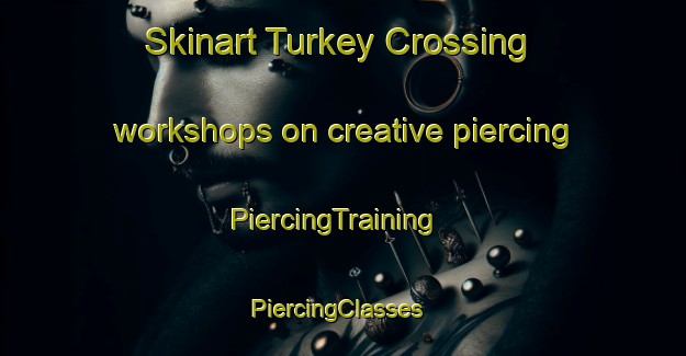 Skinart Turkey Crossing workshops on creative piercing | PiercingTraining | PiercingClasses | SkinartTraining-United States