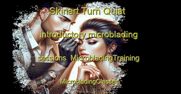 Skinart Turn Quist introductory microblading sessions | MicrobladingTraining | MicrobladingClasses | SkinartTraining-United States