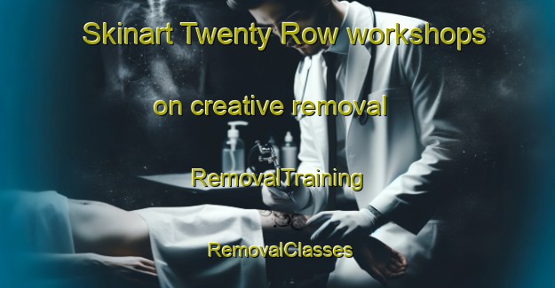 Skinart Twenty Row workshops on creative removal | RemovalTraining | RemovalClasses | SkinartTraining-United States