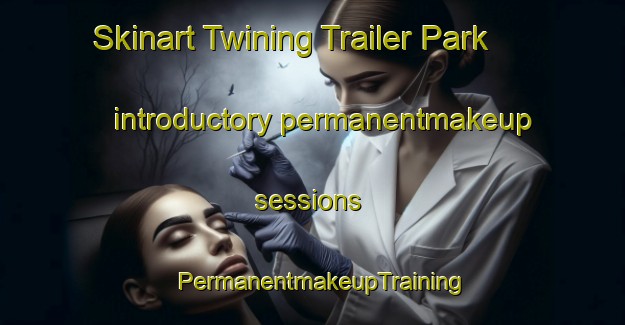 Skinart Twining Trailer Park introductory permanentmakeup sessions | PermanentmakeupTraining | PermanentmakeupClasses | SkinartTraining-United States