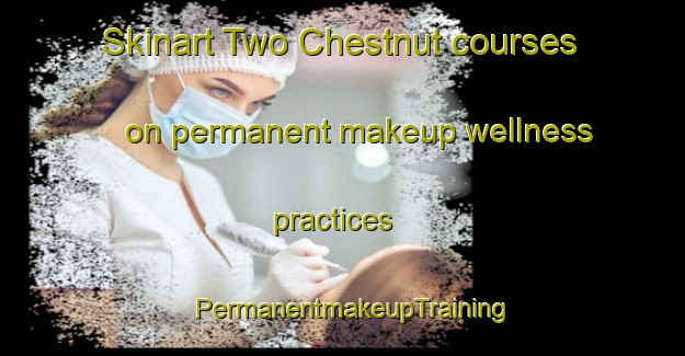 Skinart Two Chestnut courses on permanent makeup wellness practices | PermanentmakeupTraining | PermanentmakeupClasses | SkinartTraining-United States