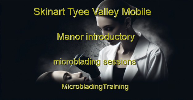 Skinart Tyee Valley Mobile Manor introductory microblading sessions | #MicrobladingTraining #MicrobladingClasses #SkinartTraining-United States