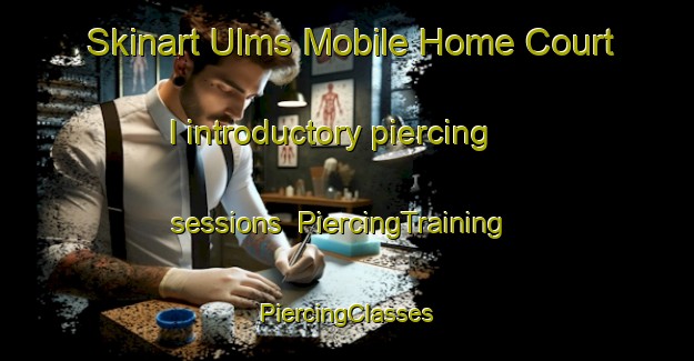 Skinart Ulms Mobile Home Court I introductory piercing sessions | #PiercingTraining #PiercingClasses #SkinartTraining-United States