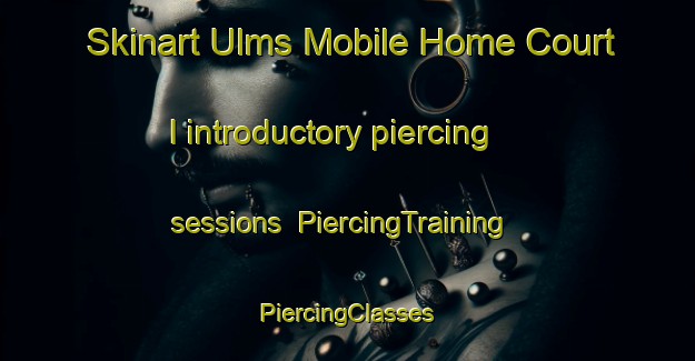 Skinart Ulms Mobile Home Court I introductory piercing sessions | #PiercingTraining #PiercingClasses #SkinartTraining-United States