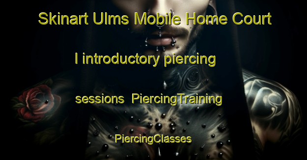 Skinart Ulms Mobile Home Court I introductory piercing sessions | #PiercingTraining #PiercingClasses #SkinartTraining-United States