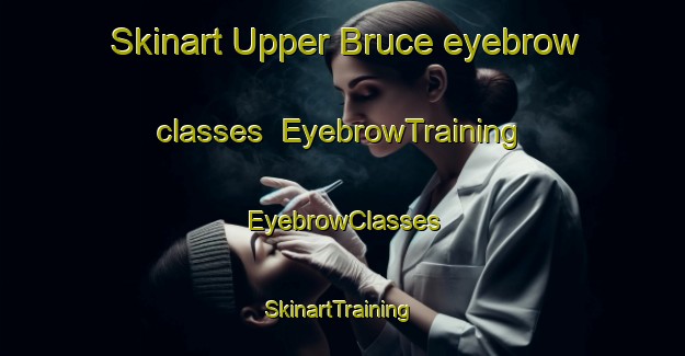 Skinart Upper Bruce eyebrow classes | EyebrowTraining | EyebrowClasses | SkinartTraining-United States