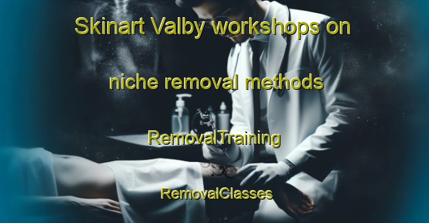 Skinart Valby workshops on niche removal methods | RemovalTraining | RemovalClasses | SkinartTraining-United States