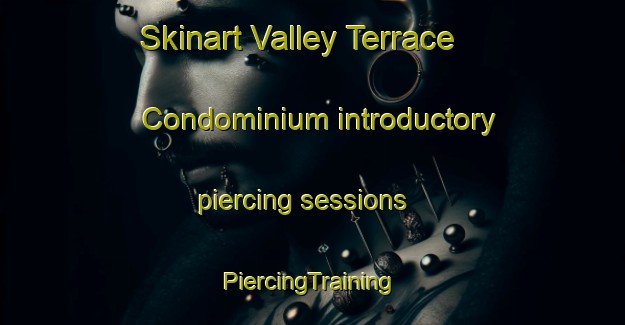 Skinart Valley Terrace Condominium introductory piercing sessions | #PiercingTraining #PiercingClasses #SkinartTraining-United States