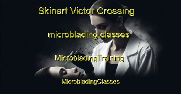 Skinart Victor Crossing microblading classes | #MicrobladingTraining #MicrobladingClasses #SkinartTraining-United States