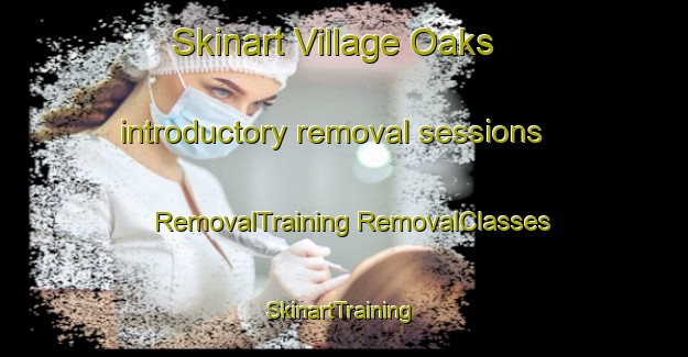 Skinart Village Oaks introductory removal sessions | #RemovalTraining #RemovalClasses #SkinartTraining-United States