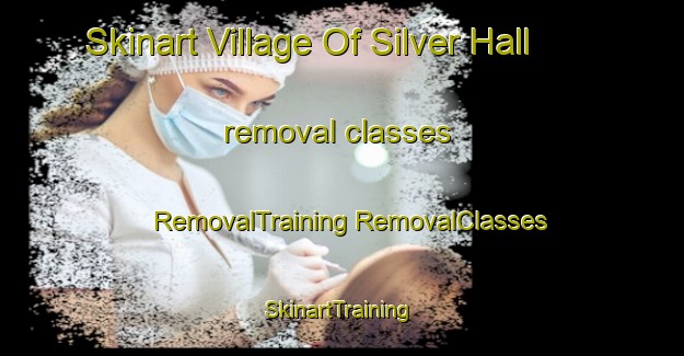 Skinart Village Of Silver Hall removal classes | #RemovalTraining #RemovalClasses #SkinartTraining-United States