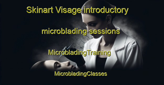 Skinart Visage introductory microblading sessions | MicrobladingTraining | MicrobladingClasses | SkinartTraining-United States