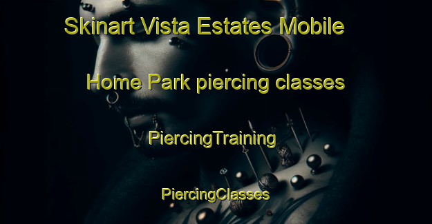 Skinart Vista Estates Mobile Home Park piercing classes | #PiercingTraining #PiercingClasses #SkinartTraining-United States