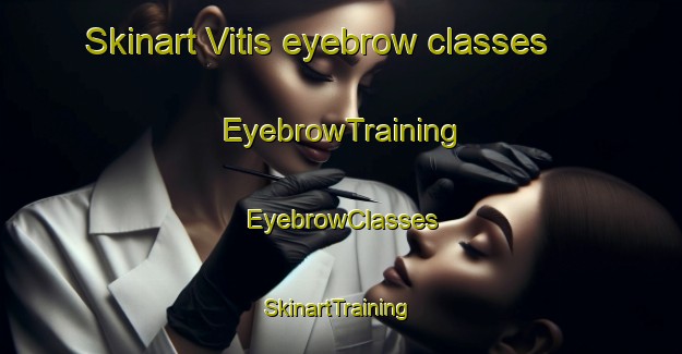 Skinart Vitis eyebrow classes | EyebrowTraining | EyebrowClasses | SkinartTraining-United States
