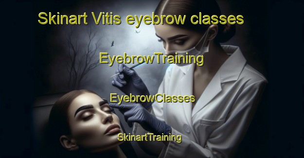 Skinart Vitis eyebrow classes | EyebrowTraining | EyebrowClasses | SkinartTraining-United States