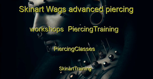 Skinart Wags advanced piercing workshops | PiercingTraining | PiercingClasses | SkinartTraining-United States