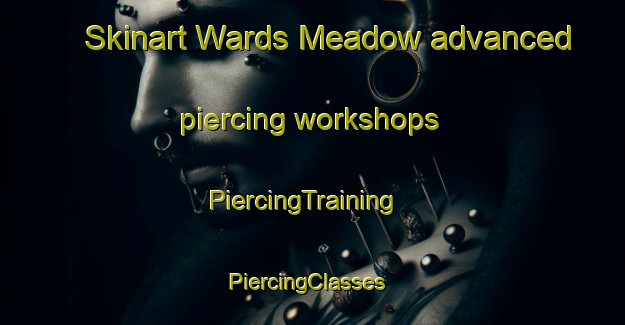 Skinart Wards Meadow advanced piercing workshops | PiercingTraining | PiercingClasses | SkinartTraining-United States