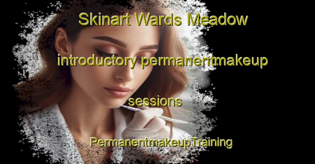 Skinart Wards Meadow introductory permanentmakeup sessions | PermanentmakeupTraining | PermanentmakeupClasses | SkinartTraining-United States