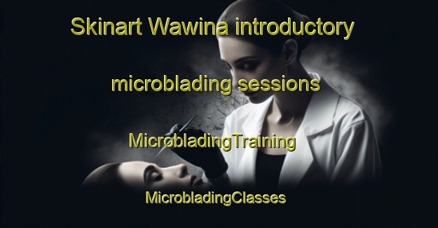 Skinart Wawina introductory microblading sessions | MicrobladingTraining | MicrobladingClasses | SkinartTraining-United States