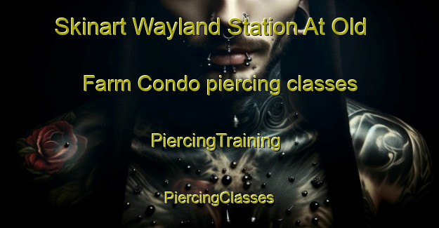 Skinart Wayland Station At Old Farm Condo piercing classes | #PiercingTraining #PiercingClasses #SkinartTraining-United States