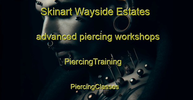 Skinart Wayside Estates advanced piercing workshops | PiercingTraining | PiercingClasses | SkinartTraining-United States