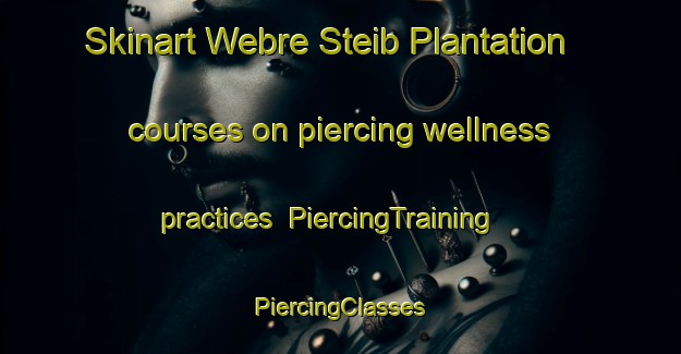 Skinart Webre Steib Plantation courses on piercing wellness practices | #PiercingTraining #PiercingClasses #SkinartTraining-United States