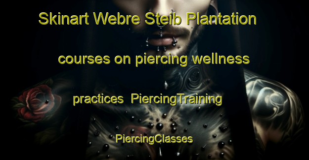 Skinart Webre Steib Plantation courses on piercing wellness practices | #PiercingTraining #PiercingClasses #SkinartTraining-United States