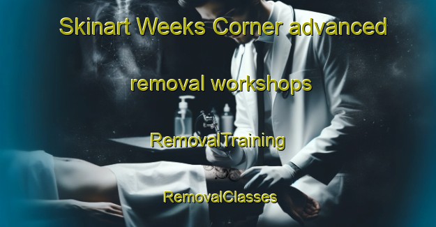 Skinart Weeks Corner advanced removal workshops | RemovalTraining | RemovalClasses | SkinartTraining-United States