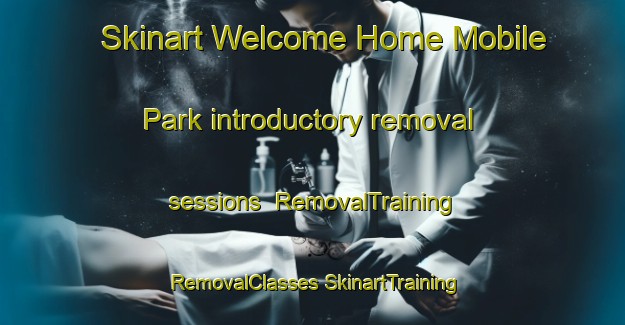 Skinart Welcome Home Mobile Park introductory removal sessions | #RemovalTraining #RemovalClasses #SkinartTraining-United States