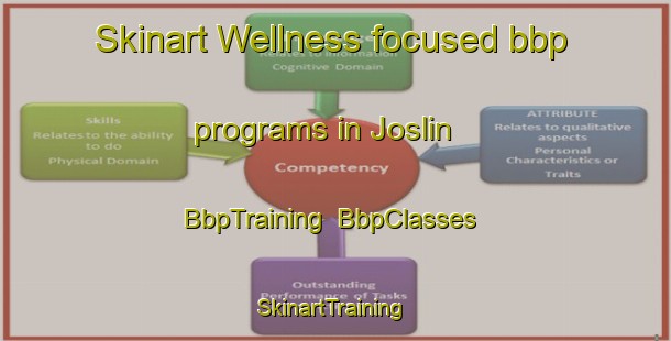Skinart Wellness-focused bbp programs in Joslin | BbpTraining | BbpClasses | SkinartTraining-United States