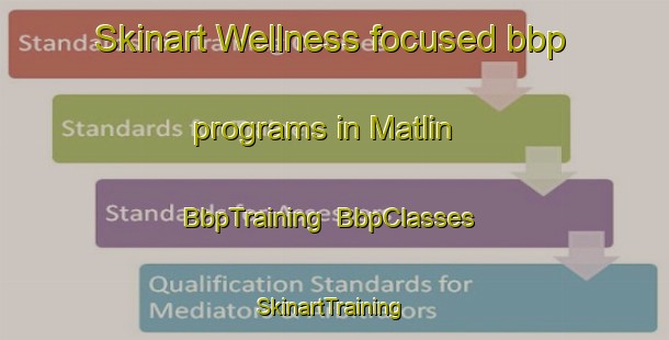 Skinart Wellness-focused bbp programs in Matlin | BbpTraining | BbpClasses | SkinartTraining-United States
