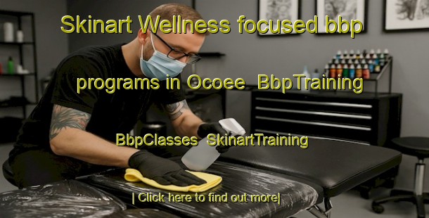 Skinart Wellness-focused bbp programs in Ocoee | BbpTraining | BbpClasses | SkinartTraining-United States