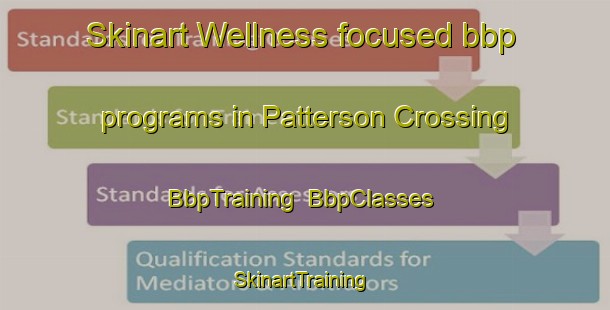 Skinart Wellness-focused bbp programs in Patterson Crossing | BbpTraining | BbpClasses | SkinartTraining-United States