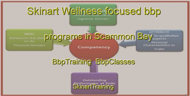 Skinart Wellness-focused bbp programs in Scammon Bay | BbpTraining | BbpClasses | SkinartTraining-United States